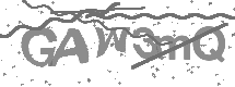 visual captcha